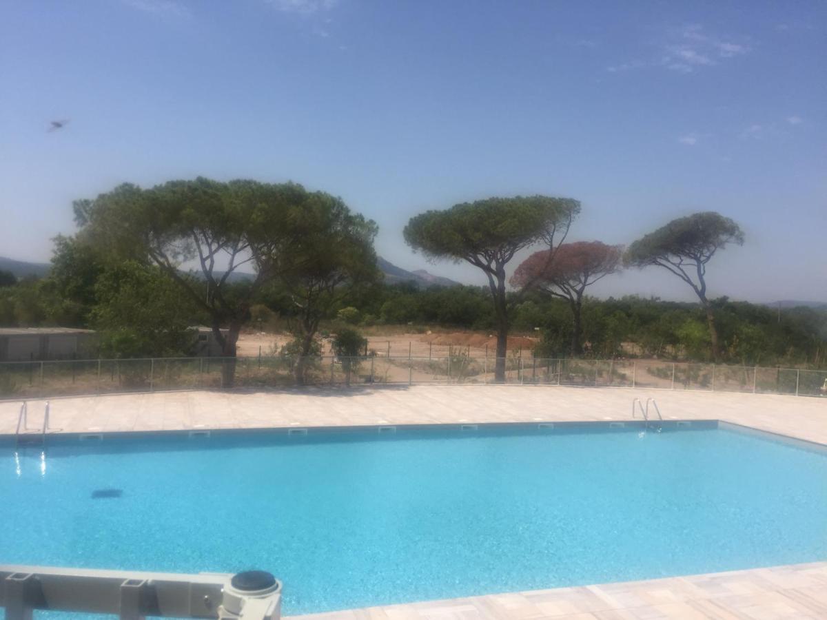 Appartement Neuf Moderne Avec Piscine Puget-sur Argens Buitenkant foto